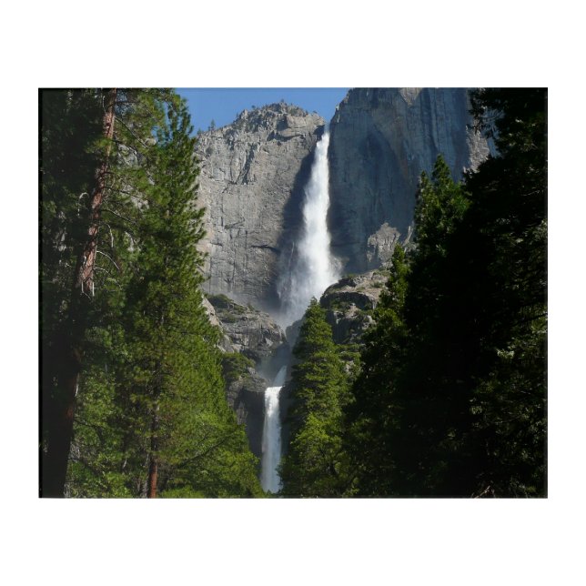 Yosemite Falls II from Yosemite National Park Acrylic Print (Front)