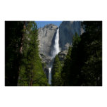 Yosemite Falls II from Yosemite National Park Poster