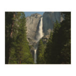 Yosemite Falls II from Yosemite National Park Wood Wall Art