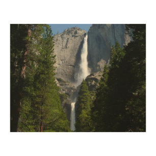 Yosemite Falls II from Yosemite National Park Wood Wall Art