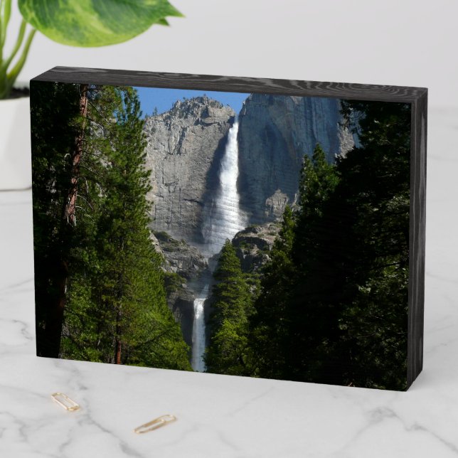 Yosemite Falls II from Yosemite National Park Wooden Box Sign (In Situ Horizontal)