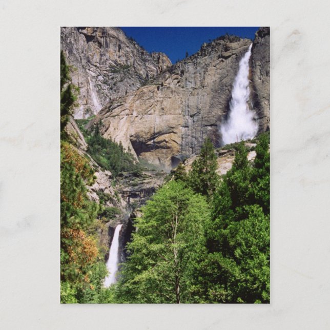 Yosemite Falls Postcard (Front)