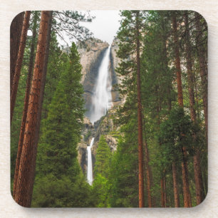 Yosemite Falls through the Forest Beverage Coaster