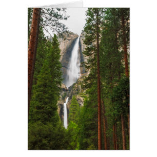 Yosemite Falls through the Forest Cards