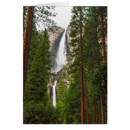 Yosemite Falls through the Forest Cards (Front)
