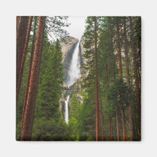 Yosemite Falls through the Forest Magnet