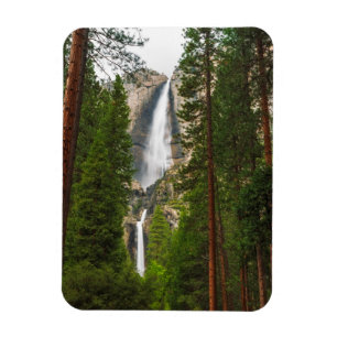 Yosemite Falls through the Forest Magnet