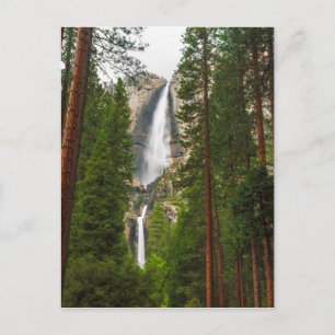 Yosemite Falls through the Forest Postcard