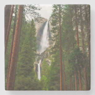 Yosemite Falls through the Forest Stone Coaster