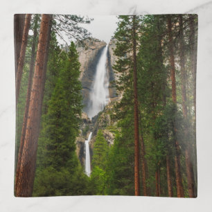 Yosemite Falls through the Forest Trinket Tray
