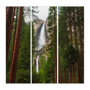 Yosemite Falls through the Forest Triptych