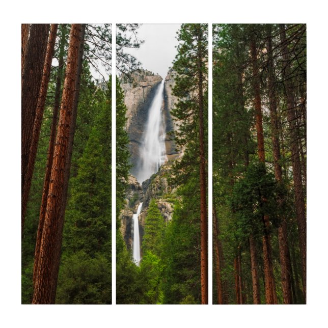 Yosemite Falls through the Forest Triptych (Front)