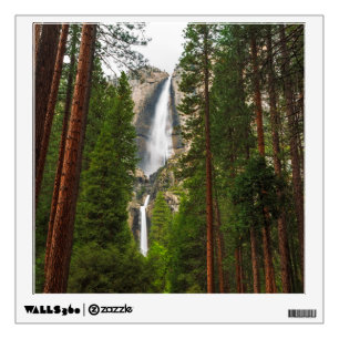 Yosemite Falls through the Forest Wall Decal