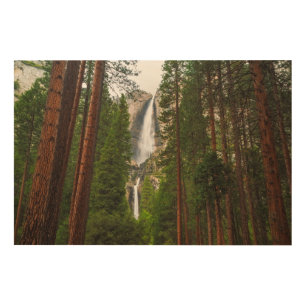 Yosemite Falls through the Forest Wood Wall Art