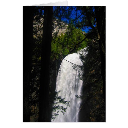 yosemite falls through trees cards (Front)