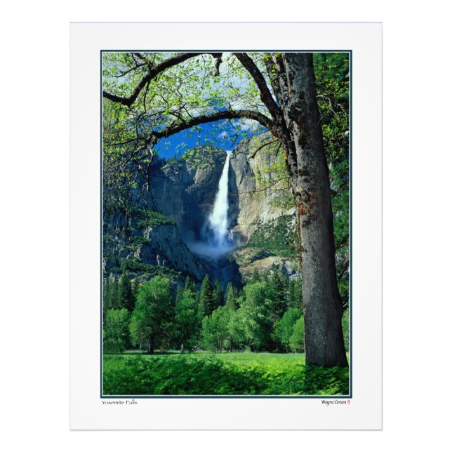 Yosemite Falls - Yosemite National Park Photo Print (Front)