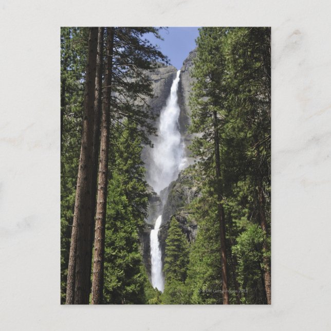 Yosemite Falls, Yosemite National Park Postcard (Front)