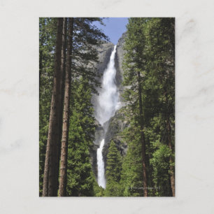 Yosemite Falls, Yosemite National Park Postcard