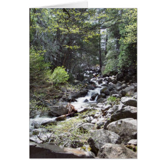 Yosemite in Springtime: Bridalveil Falls Trail Cards