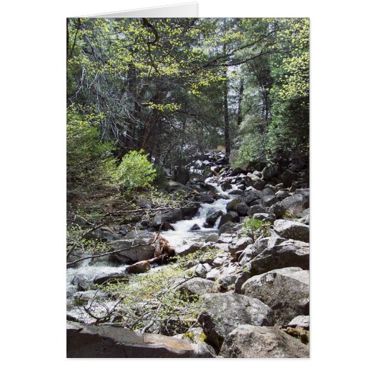 Yosemite in Springtime: Bridalveil Falls Trail Cards (Front)