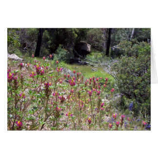 Yosemite in Springtime: Harlequin Lupine Cards