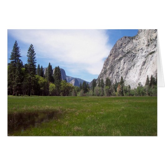 Yosemite in Springtime:  Meadow View (Front Horizontal)