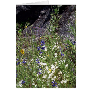 Yosemite in Springtime: Mountain Wildflowers Cards