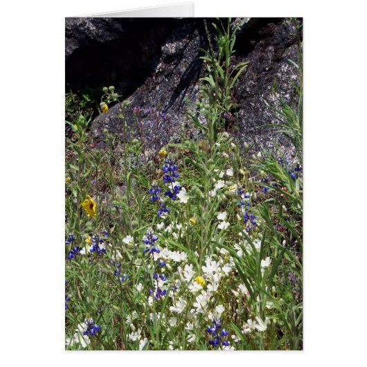 Yosemite in Springtime: Mountain Wildflowers Cards (Front)