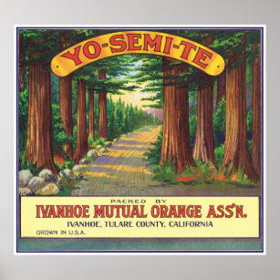 Yosemite Ivanhoe Tulare County California Orange Poster