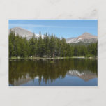 Yosemite Lake Reflection Postcard
