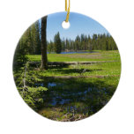 Yosemite Meadow with Shooting Stars Ceramic Ornament