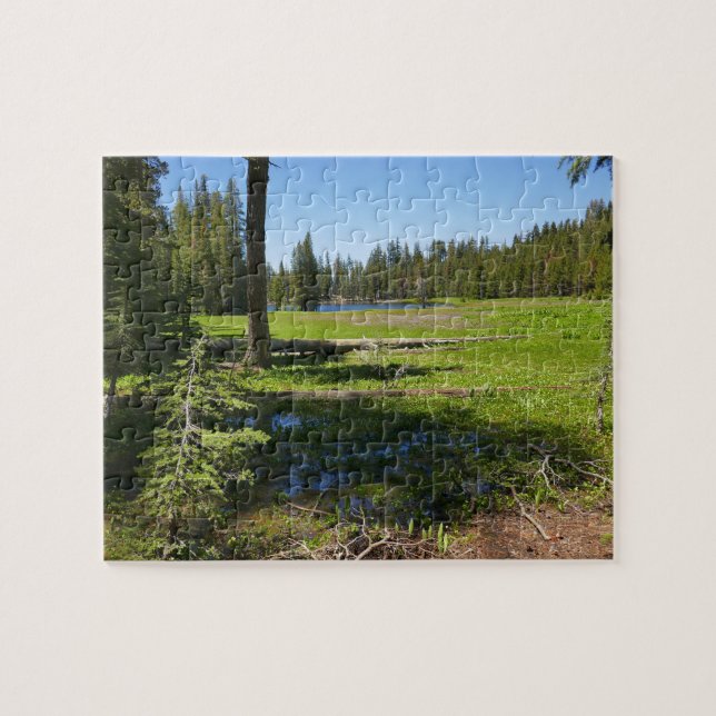 Yosemite Meadow with Shooting Stars Jigsaw Puzzle (Horizontal)