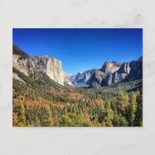 Yosemite National Park, California Postcard