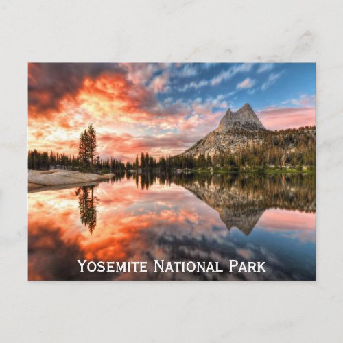 Yosemite National Park California Travel Photo Postcard