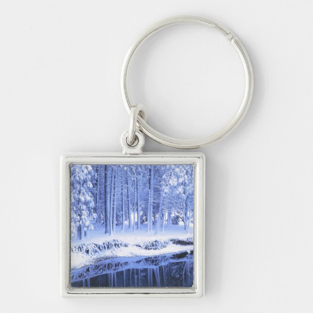 YOSEMITE NATIONAL PARK, CALIFORNIA. USA. Fresh Keychain (Front)