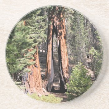 Yosemite National Park Clothespin Photo Coaster by Jamene at Zazzle