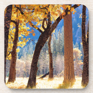 Yosemite National Park Coaster
