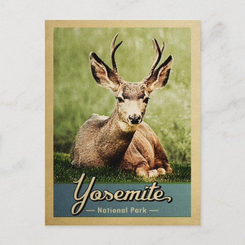 Yosemite National Park Deer Vintage Travel Postcard