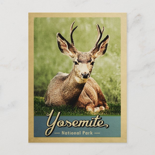 Yosemite National Park Deer Vintage Travel Postcard (Front)