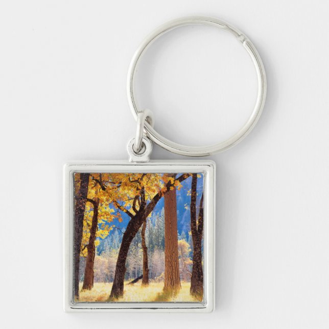 Yosemite National Park Keychain (Front)