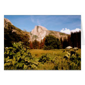 Yosemite National Park meadow card (Front Horizontal)