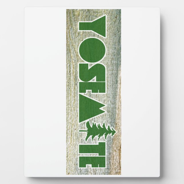 Yosemite National Park Plaque (Front)