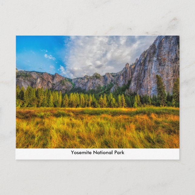 Yosemite National Park Post Card (Front)