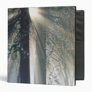 Yosemite National Park - Sun rays streaming 3 Ring Binder