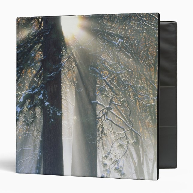 Yosemite National Park - Sun rays streaming 3 Ring Binder (Front/Inside)