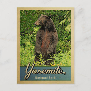 Yosemite National Park Vintage Bear Postcard