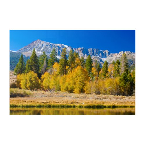 Yosemite National Parks Tioga Pass Acrylic Print