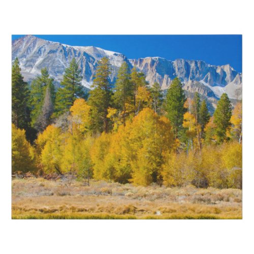 Yosemite National Parks Tioga Pass Faux Canvas Print