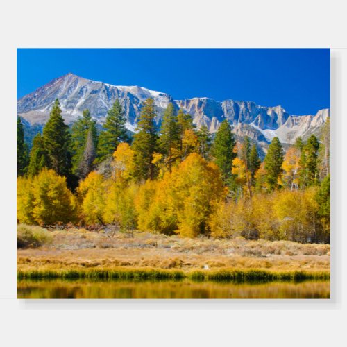 Yosemite National Parks Tioga Pass Foam Board