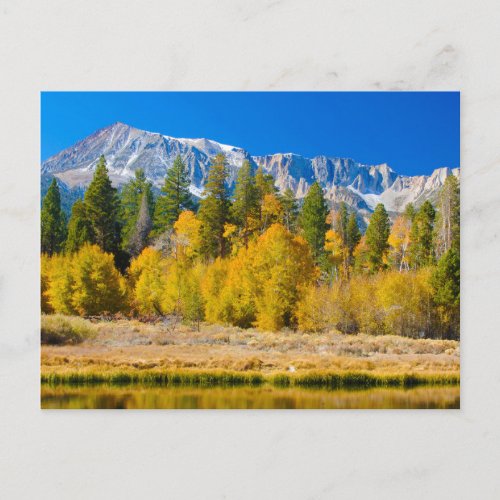 Yosemite National Parks Tioga Pass Postcard
